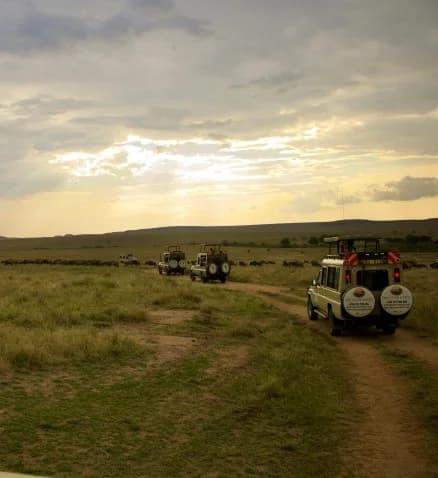 Safari jeeps on the plains at sunset