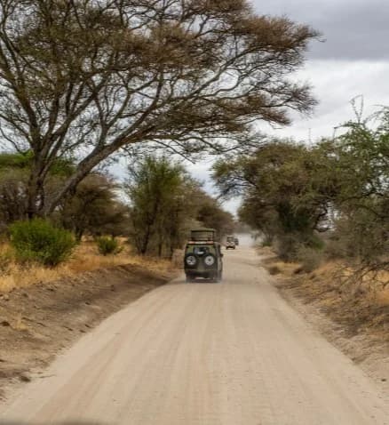 Giraffe beside a safari vehicle