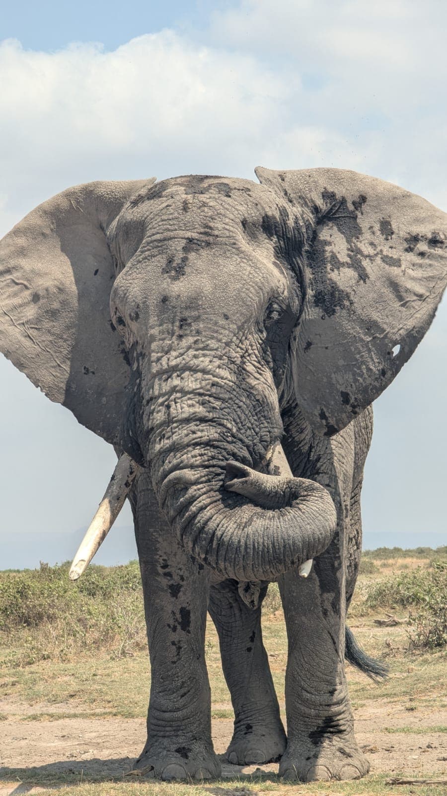 Private Amboseli Safari - image 1