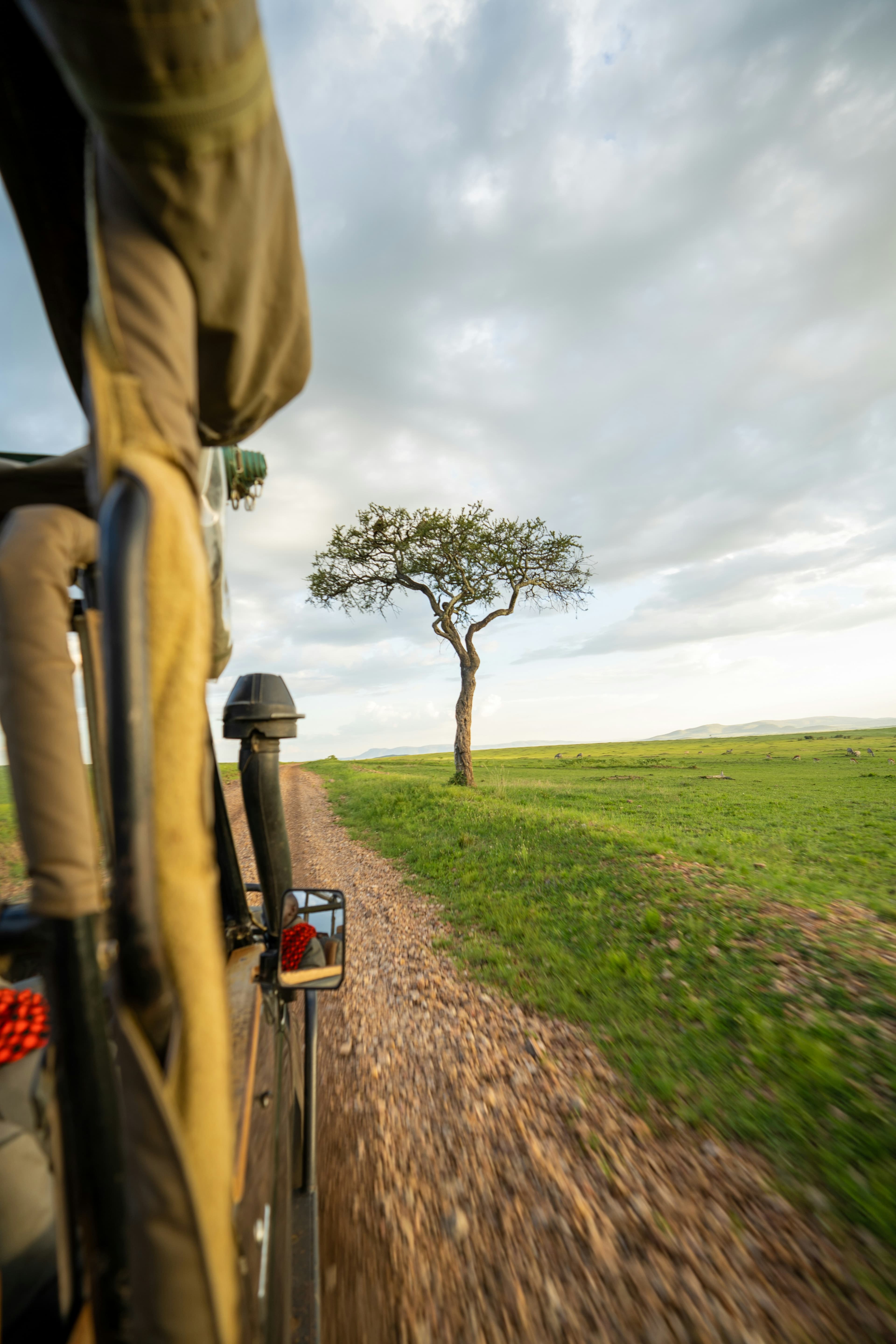 3 Days Maasai Mara Safari - image 1
